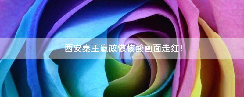 西安秦王嬴政做核酸畫面走紅！